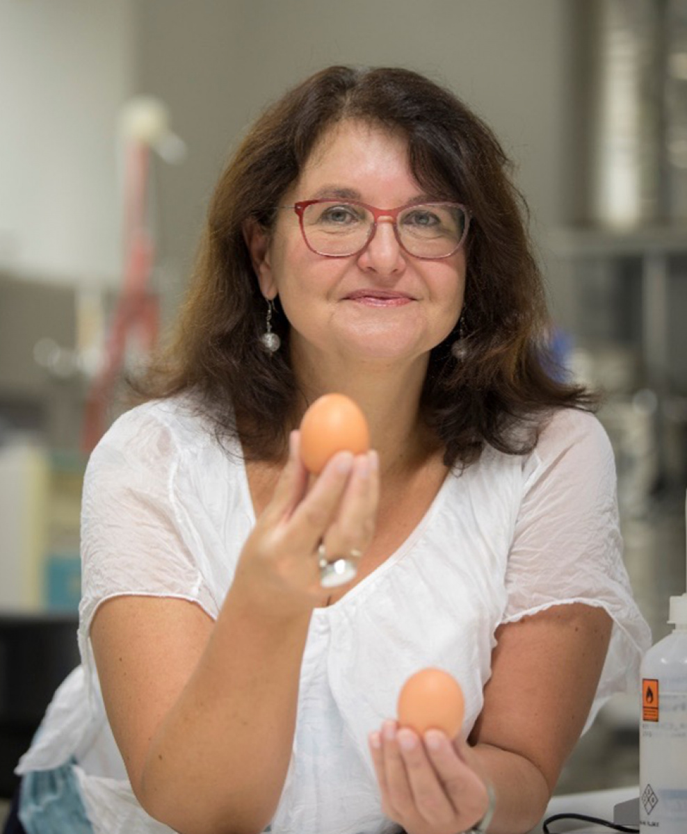 Univ.-Prof. Dipl.-Biol. Dr.rer.nat. Gabriele Berg